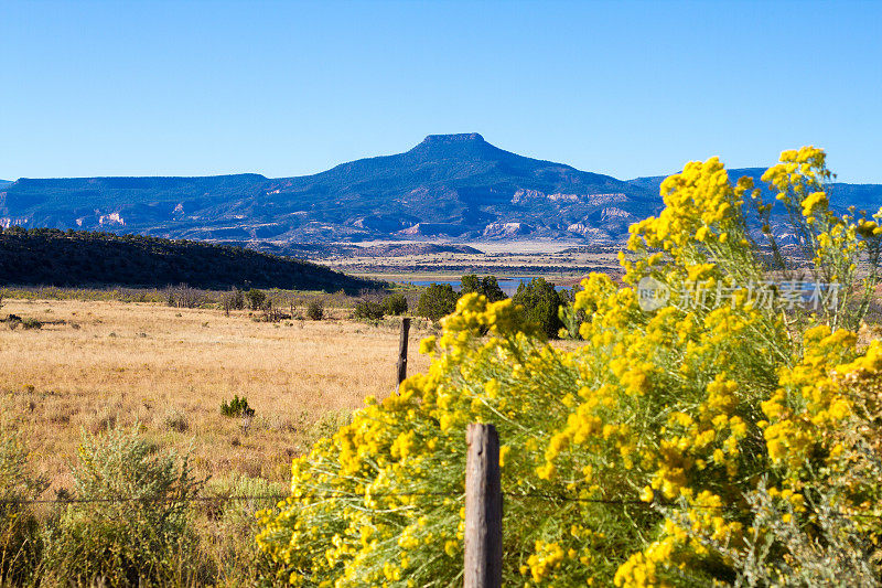 阿比奎，NM: Cerro Pedernal Mesa和Chamisa/Rabbit Brush